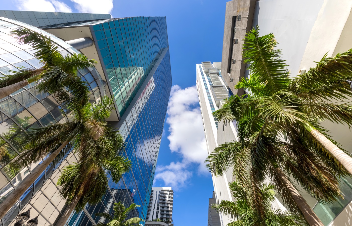 Modern shopping center architecture and palm trees in downtown Miami